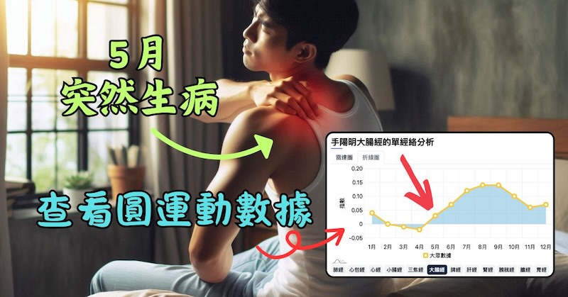 5月身體出現不舒服時，可以查看5月的經絡圓運動數據