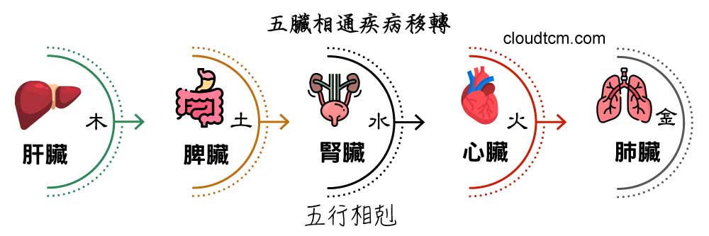 五臟依照五行相剋的原理，疾病會出現移轉現象