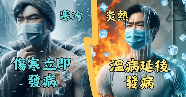 不論傷寒溫病，在本質上都是寒