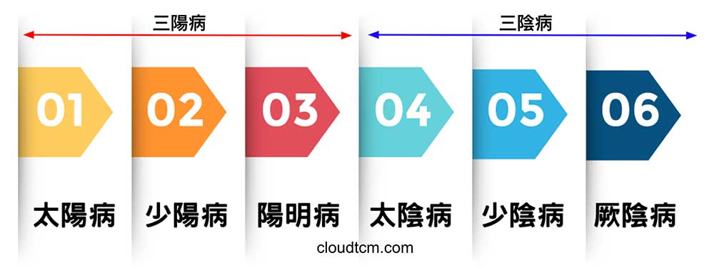 傷寒論中，將感冒區分為六個階段(六經病)