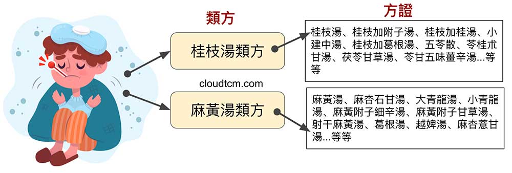 傷寒論桂枝湯類方，麻黃湯類方方證