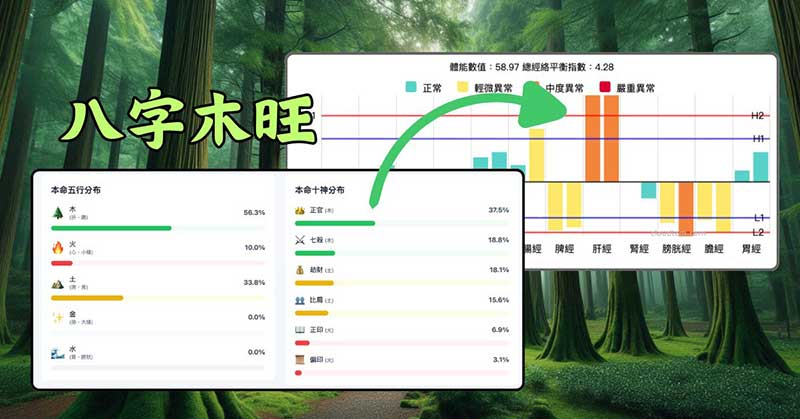 經絡八字五行，木太旺與經絡現象