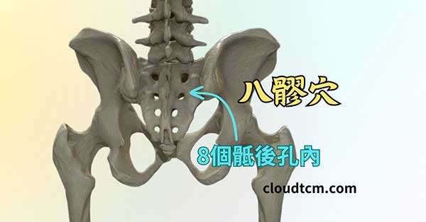 八髎穴位於8個骶後孔內