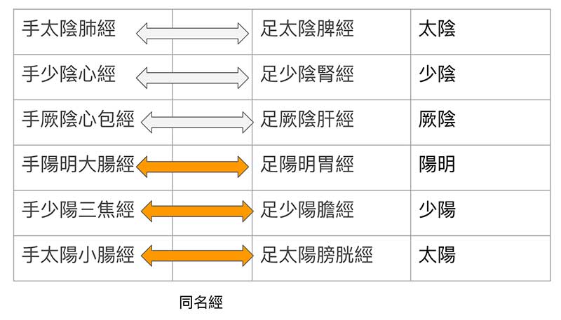 同名經源自於黃帝內經三陰三陽的概念