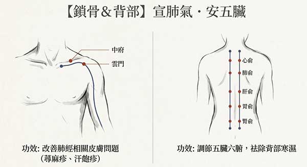吹風機針對鎖骨及背部吹熱風效果佳