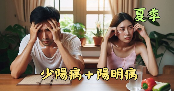 夏季常見少陽病與陽明病同病現象