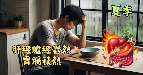 炎熱夏季肝經膽經火熱，陽明胃腸積熱