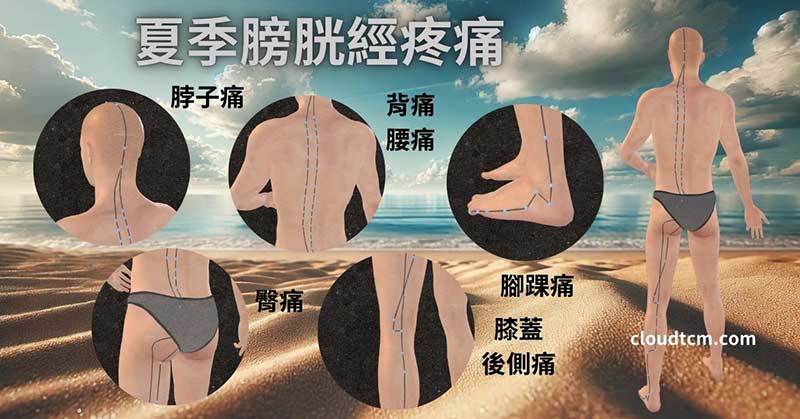 夏季容易出現膀胱經路線上的疼痛