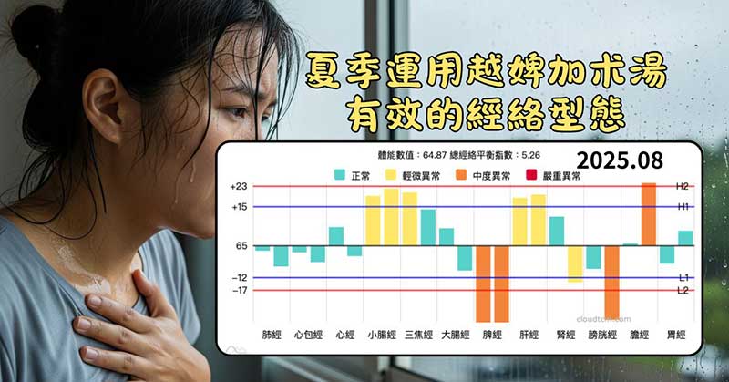 濕熱夏季運用越婢加朮湯有效的經絡型態
