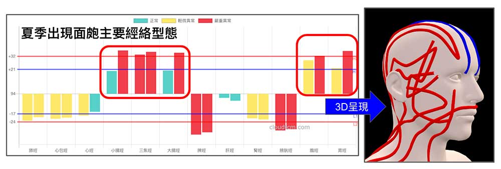 夏季出現面皰的主要經絡型態