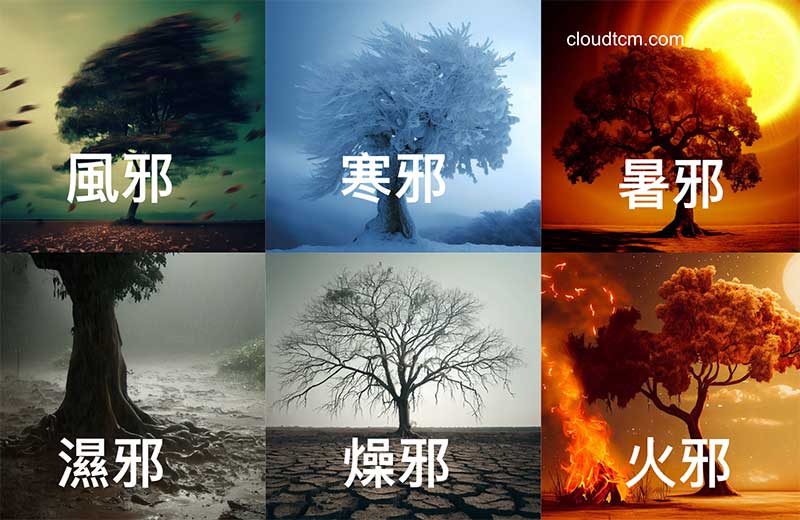 傳統中醫認為外感六邪是造成許多疾病的主因