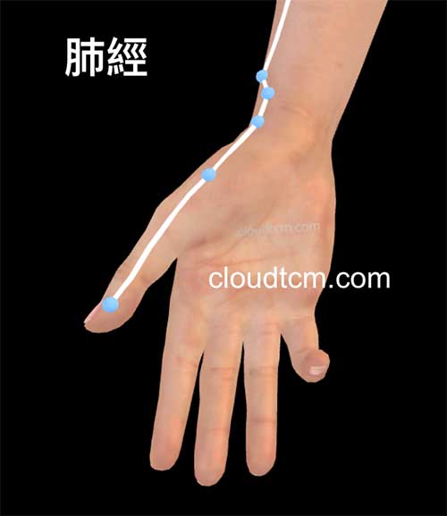 大拇指對應肺經