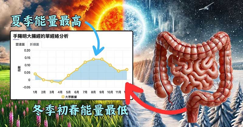 從大腸經的能量變化，推斷夏季肛門搔癢的原因
