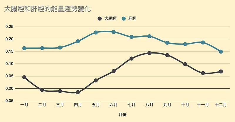 大腸經與肝經的能量趨勢
