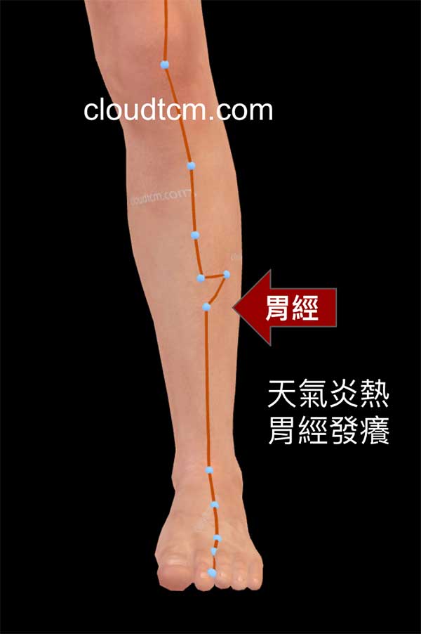 只要天氣炎熱，小腿胃經就會發癢