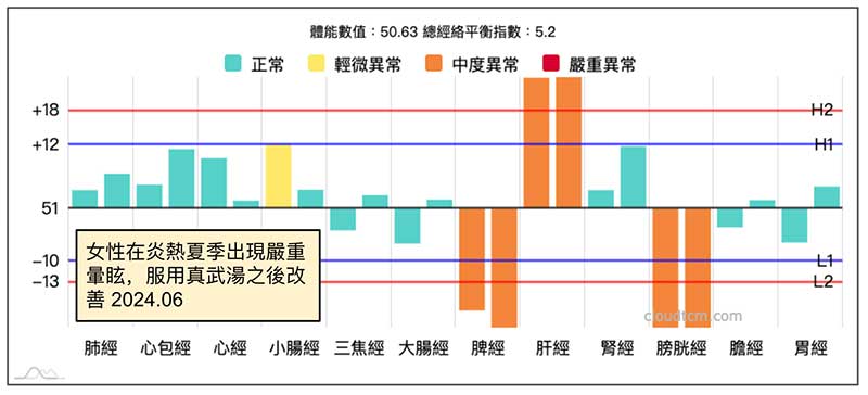 女性在炎熱夏季出現嚴重暈眩，服用真武湯有效的經絡型態