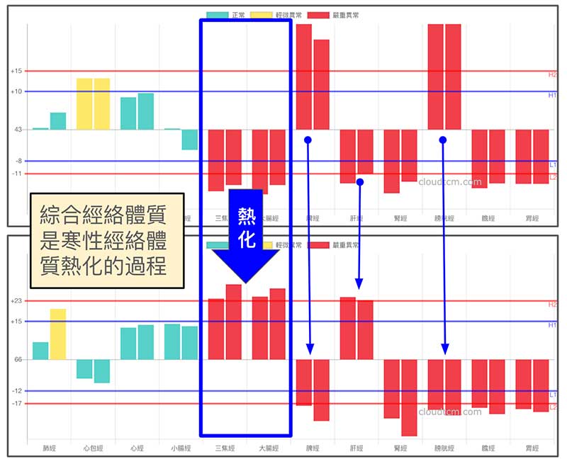 綜合經絡體質在本質上，也可能是寒性經絡體質的熱化
