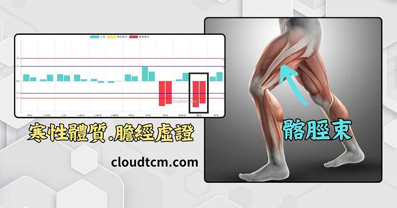 現代人長期膽經阻塞，可以疏通髂脛束肌肉群