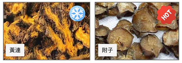 寒藥殺人無罪，附子救命無功