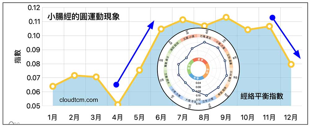 小腸經在每年冬季至春季這段期間容易阻塞