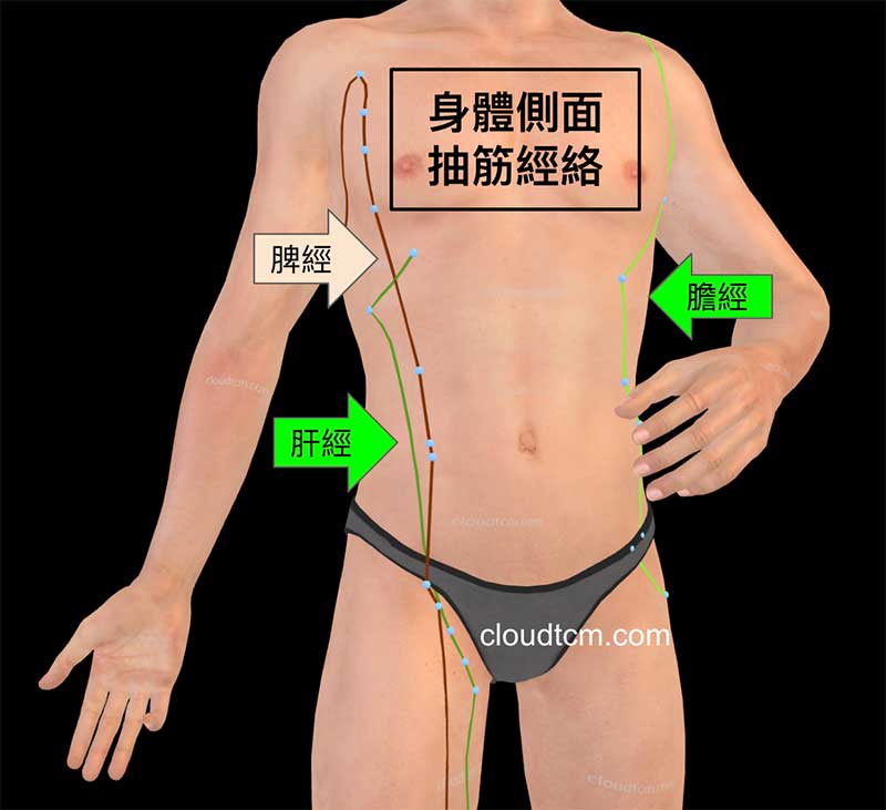 身體側面肌肉抽筋，受到肝經、脾經與膽經影響