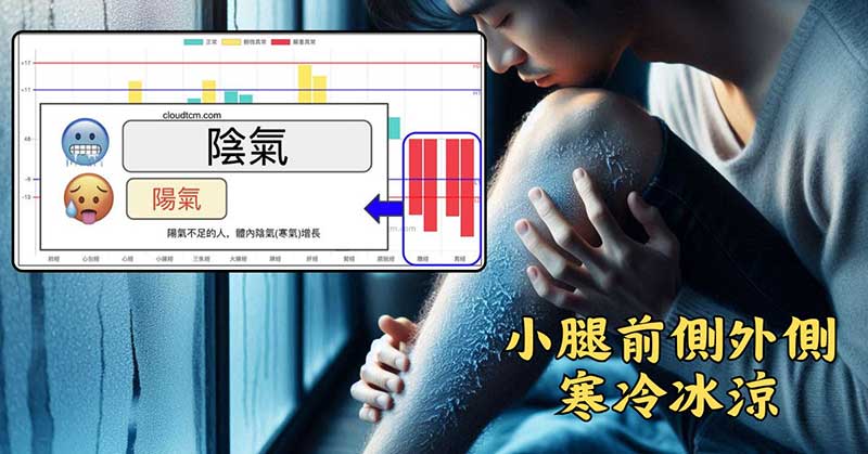 陽氣不足的人，在進入秋冬之後膽經胃經能量低下，小腿外側前側寒冷冰涼