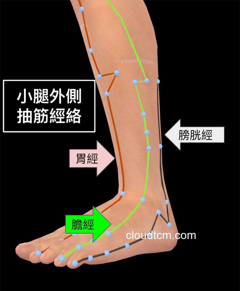 小腿內側抽筋，主要受到膀胱經、膽經與胃經影響