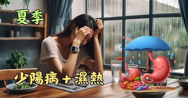 夏季很容易出現少陽病，伴隨濕熱相關症狀