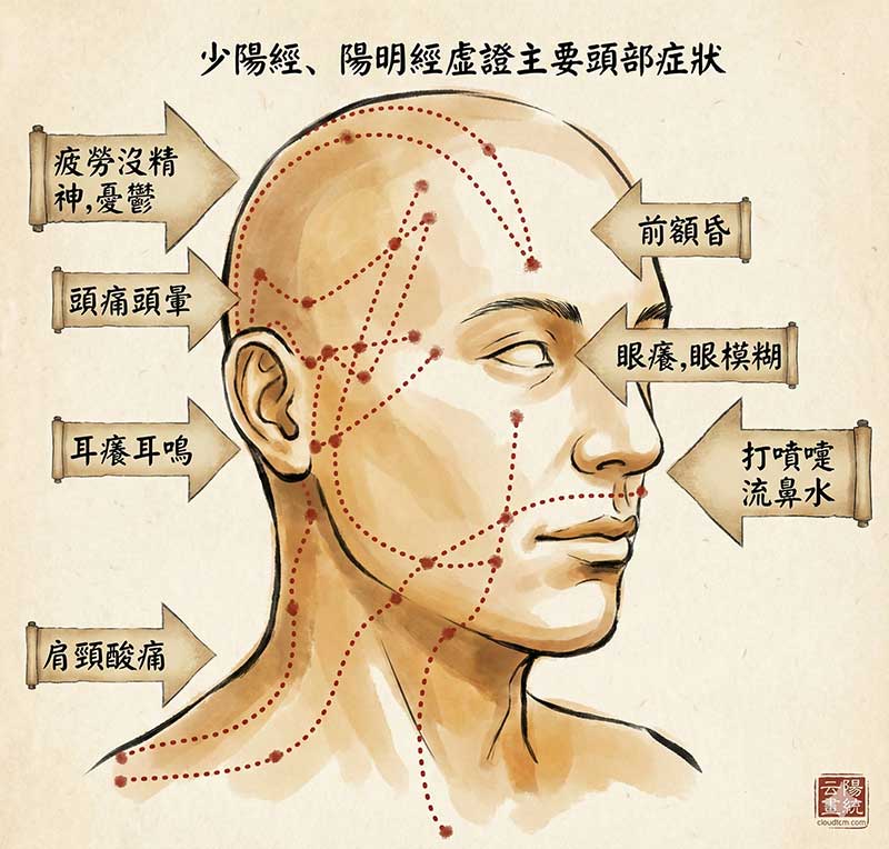 少陽經、陽明經虛證主要頭部症狀