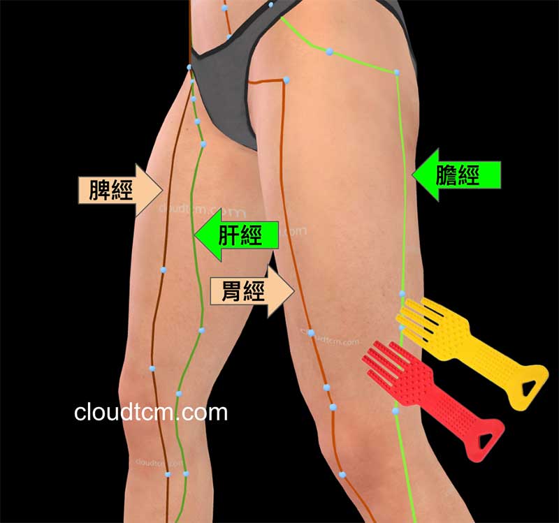 左腳脾經肝經疼痛，可以拍打右腳膽經胃經