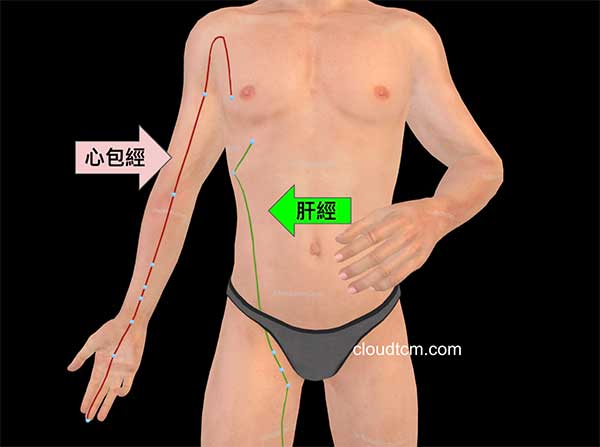 心包經與肝經都屬於「厥陰經」
