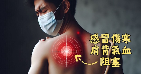 感冒傷寒時，背部的肩胛骨容易氣血阻塞