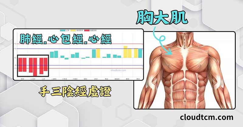 一定比例的人手三陰經虛證，造成胸部肌肉沾粘