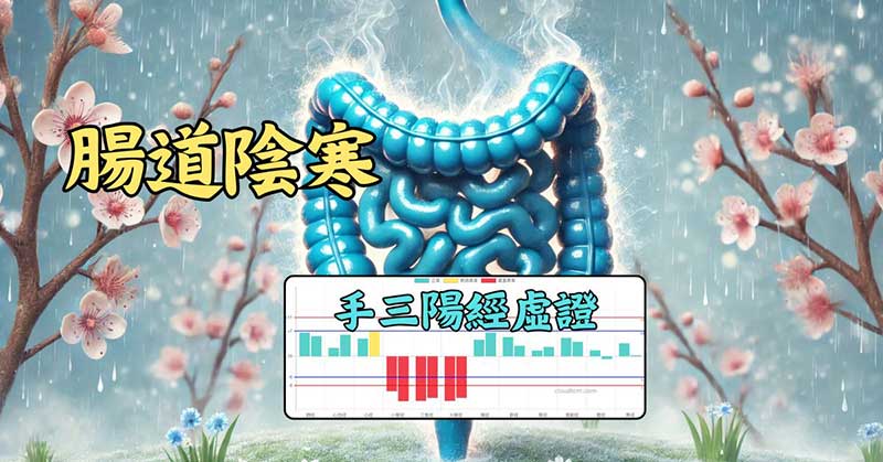 手三陽經虛證時，體內的腸道陰寒