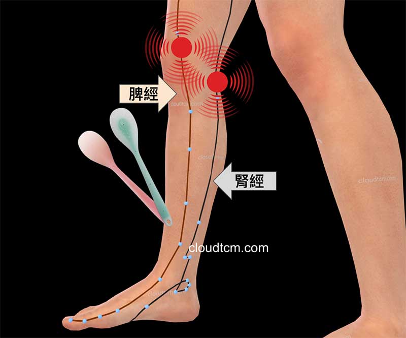 現代人脾經腎經虛證，膝蓋附近拍打特別疼痛