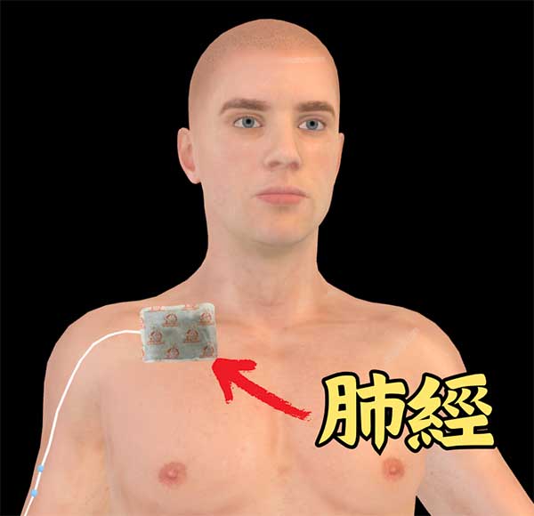 溫暖肺經鎖骨附近，可改善肩頸酸痛及感冒