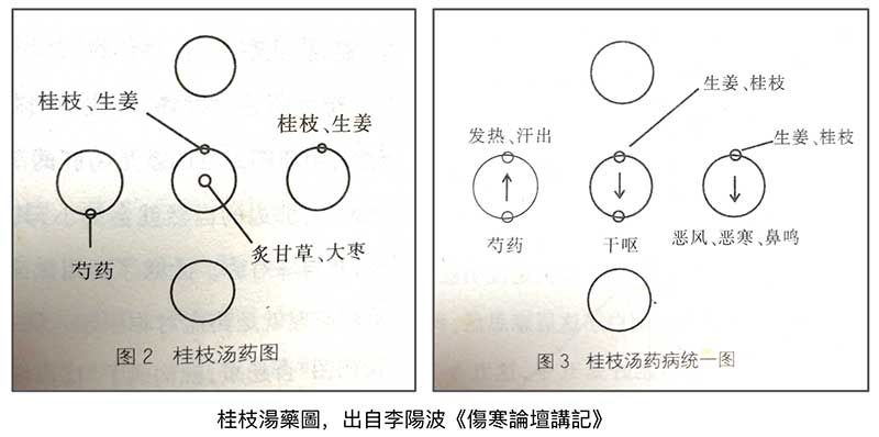 桂枝湯藥圖，出自李陽波《傷寒論壇講記》​​