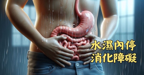 腹部水濕積聚，容易造成食物消化不良