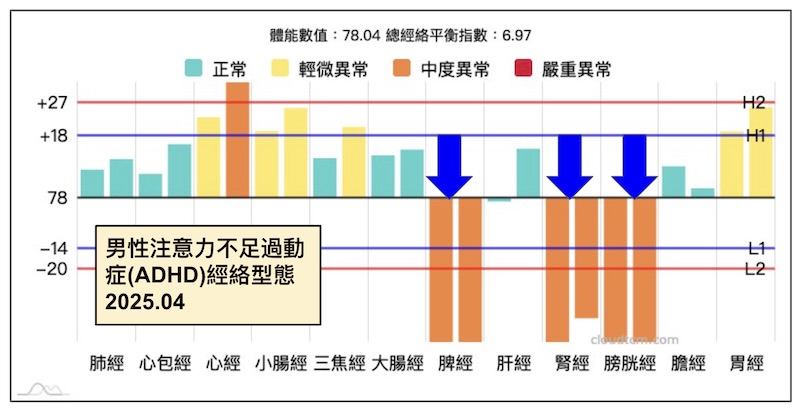 男性注意力不集中，記憶力衰退經絡型態