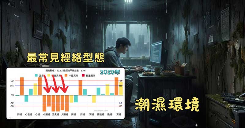 某會員居住在潮濕的環境，整整一年最常見的經絡型態