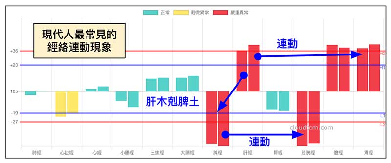 現代人最常見的經絡連動現象，建構出鐵三角