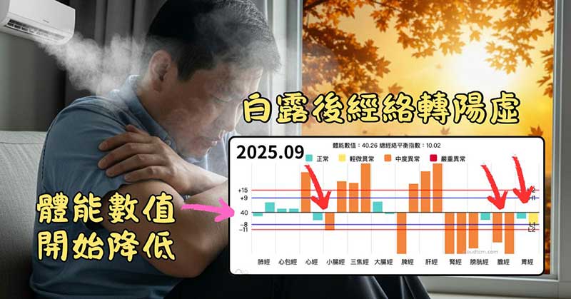 會員發現自己的經絡，在進入白露之後開始轉陽虛