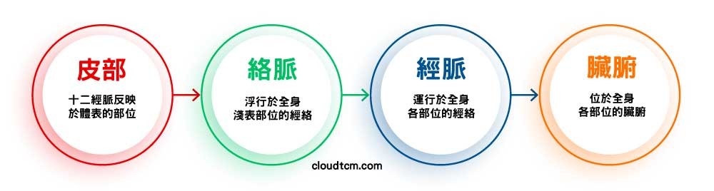 疾病從皮、絡、經、臟腑層次逐步深入