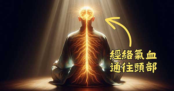全身經絡氣血不足時，首先會影響到頭部
