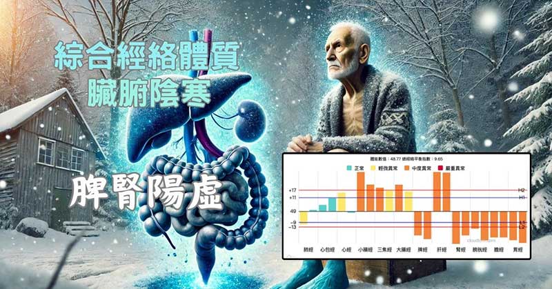 綜合經絡體質的人，體內脾腎陽虛