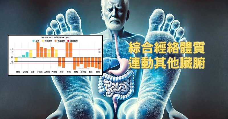 綜合經絡體質，最後會連動其他臟腑