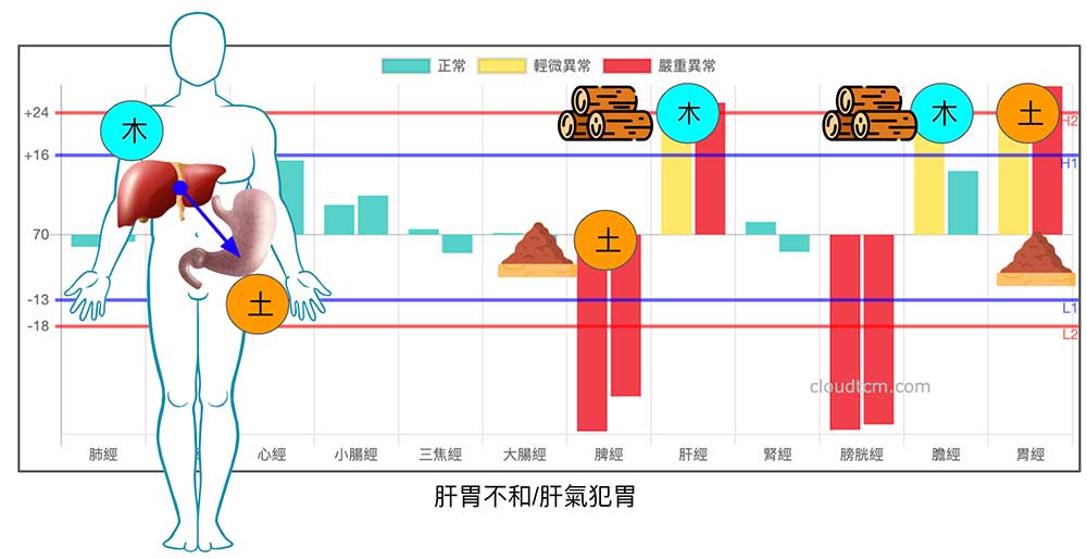 春夏季節常見的經絡現象，容易出現肝胃不和