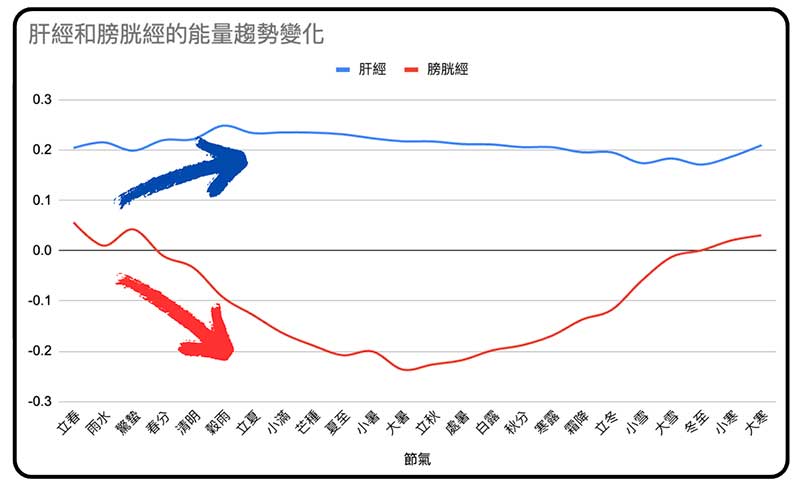 進入春末之後肝經能量提升，膀胱經能量下降