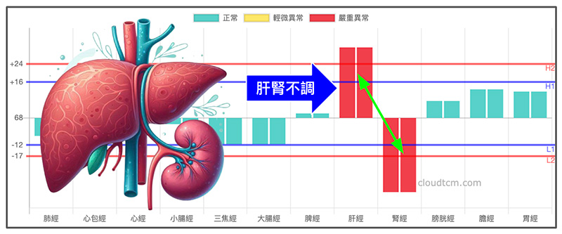 中年以上的人經常會出現肝腎不調的經絡型態