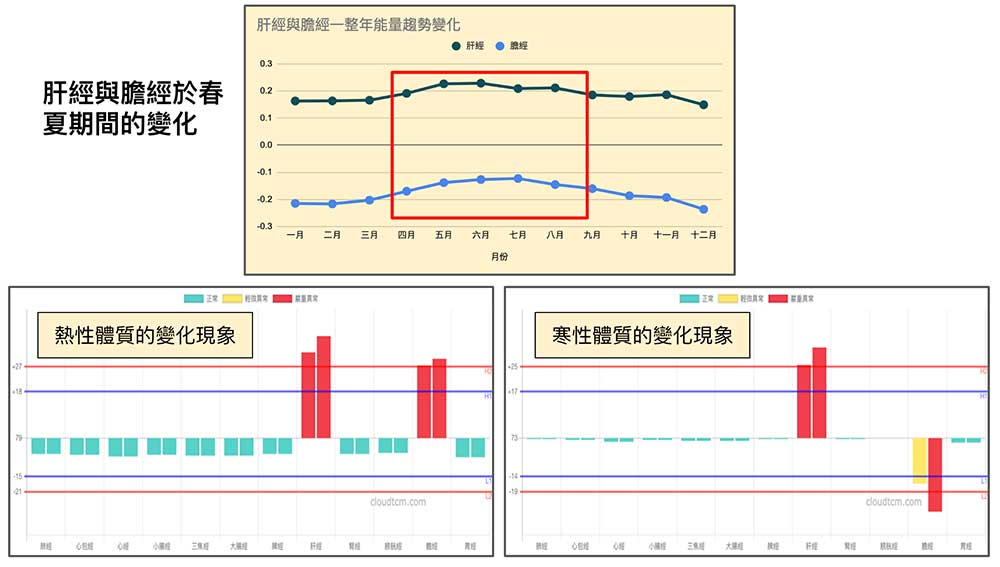 春夏期間，肝經與膽經主要會出現這兩種變化